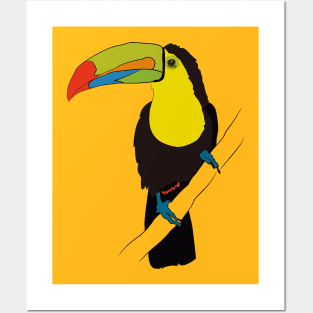 TUCAN CUTE BIRD PARADICE COLORFUL FEATHERS Posters and Art